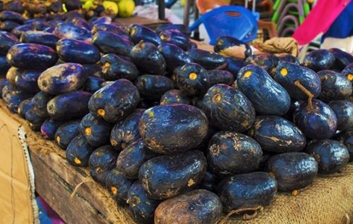 Les vrais bienfaits de la prune du Cameroun